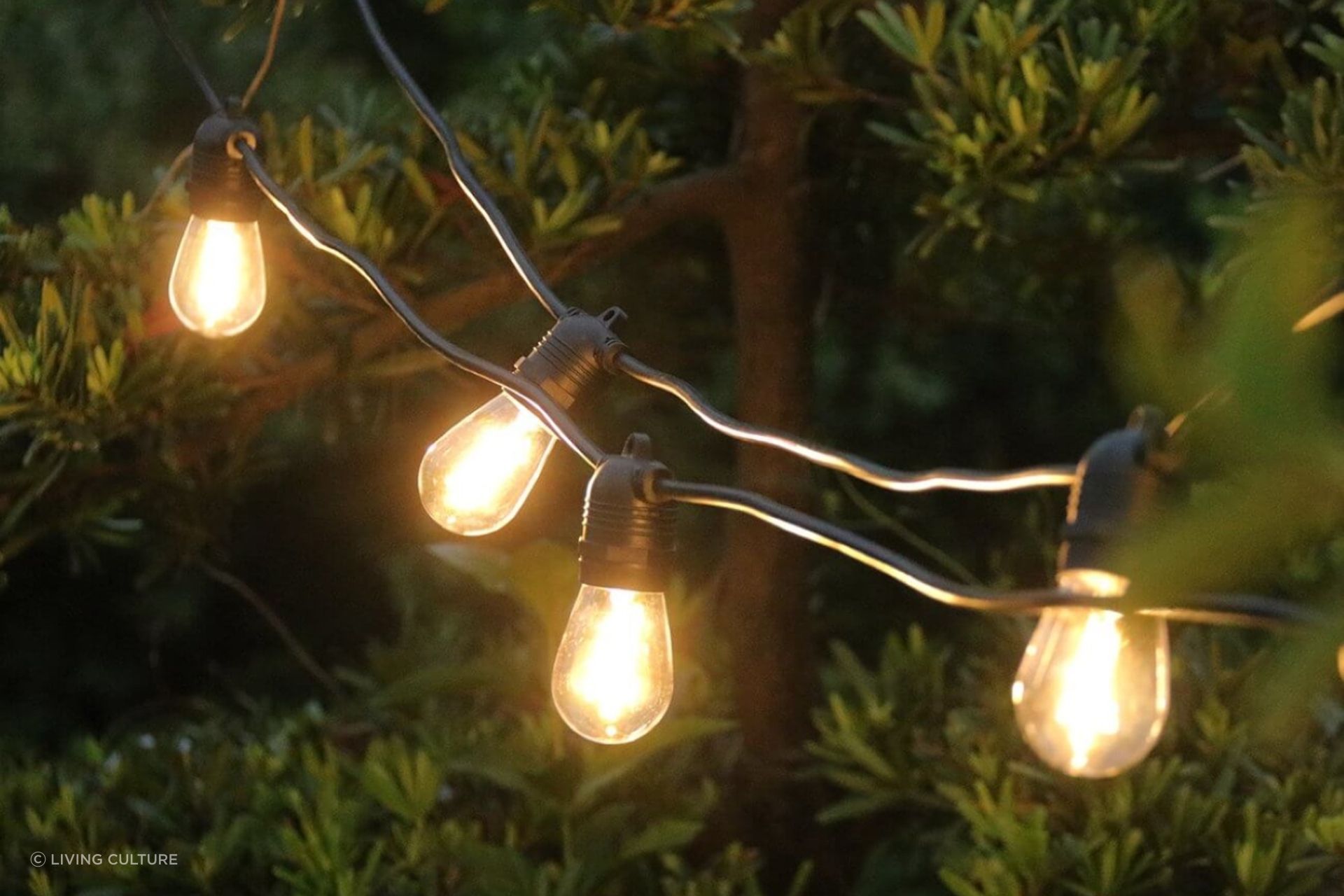 The warm lights of the Outdoor Led Festoon String Lights helps create a magical glow in a garden.