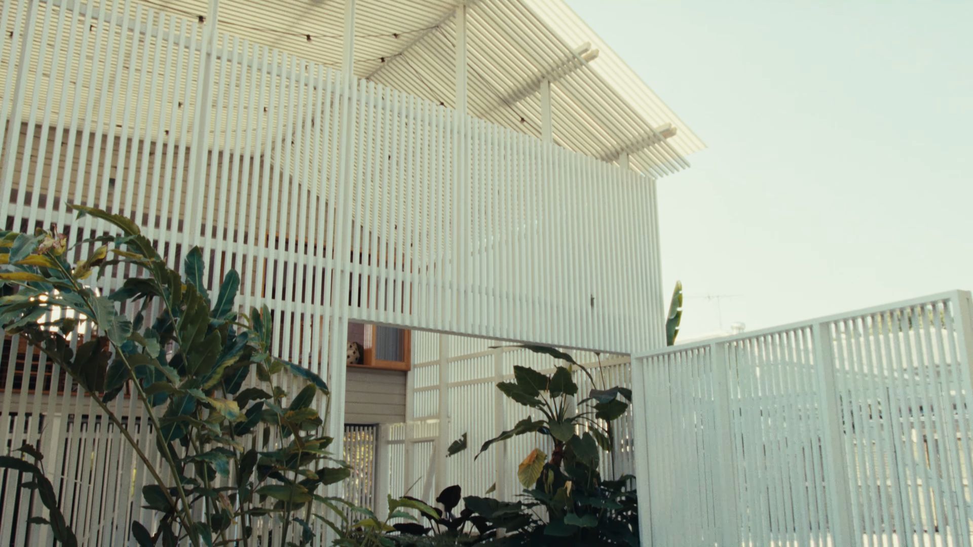 Paul Butterworth from Paul Butterworth Architect | The Clayfield Fern House Tour video