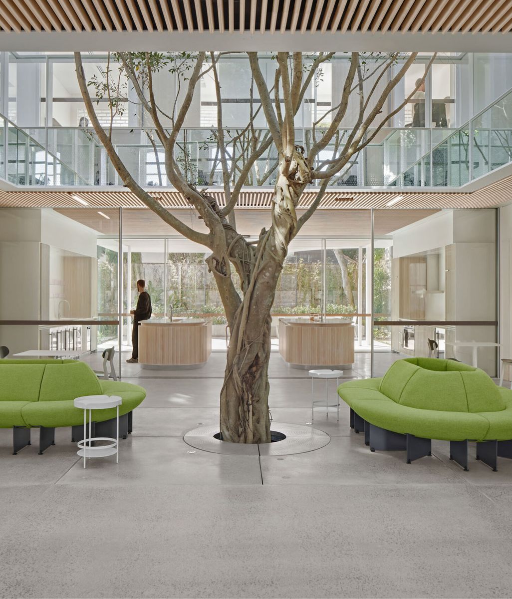 Architecture as a continuum: inside the thinking of TZG