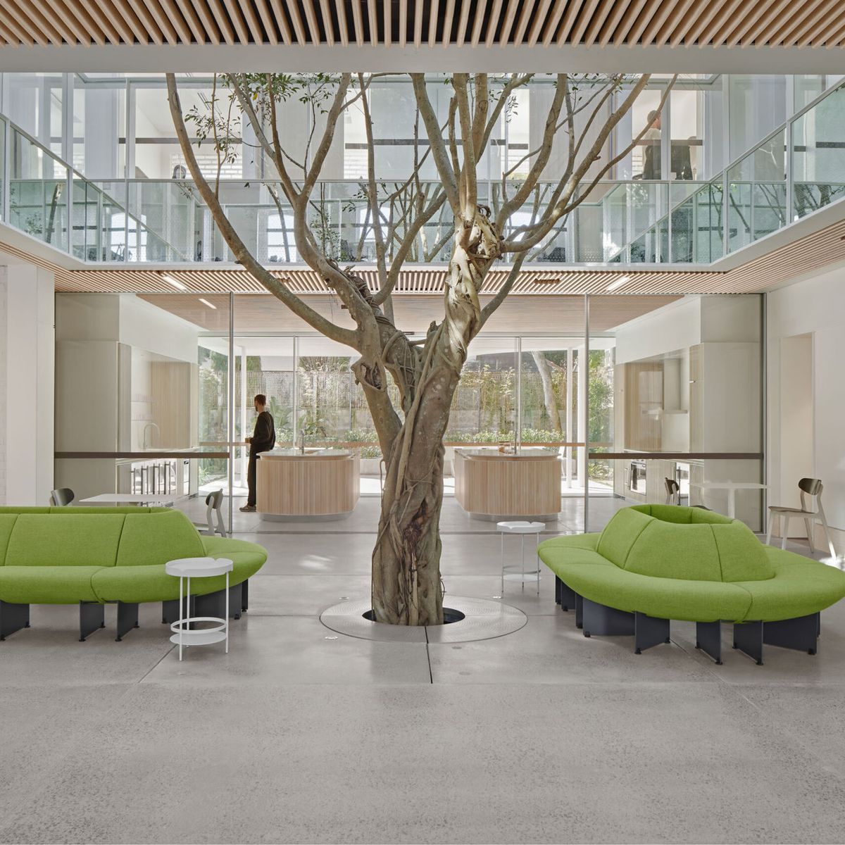 Architecture as a continuum: inside the thinking of TZG