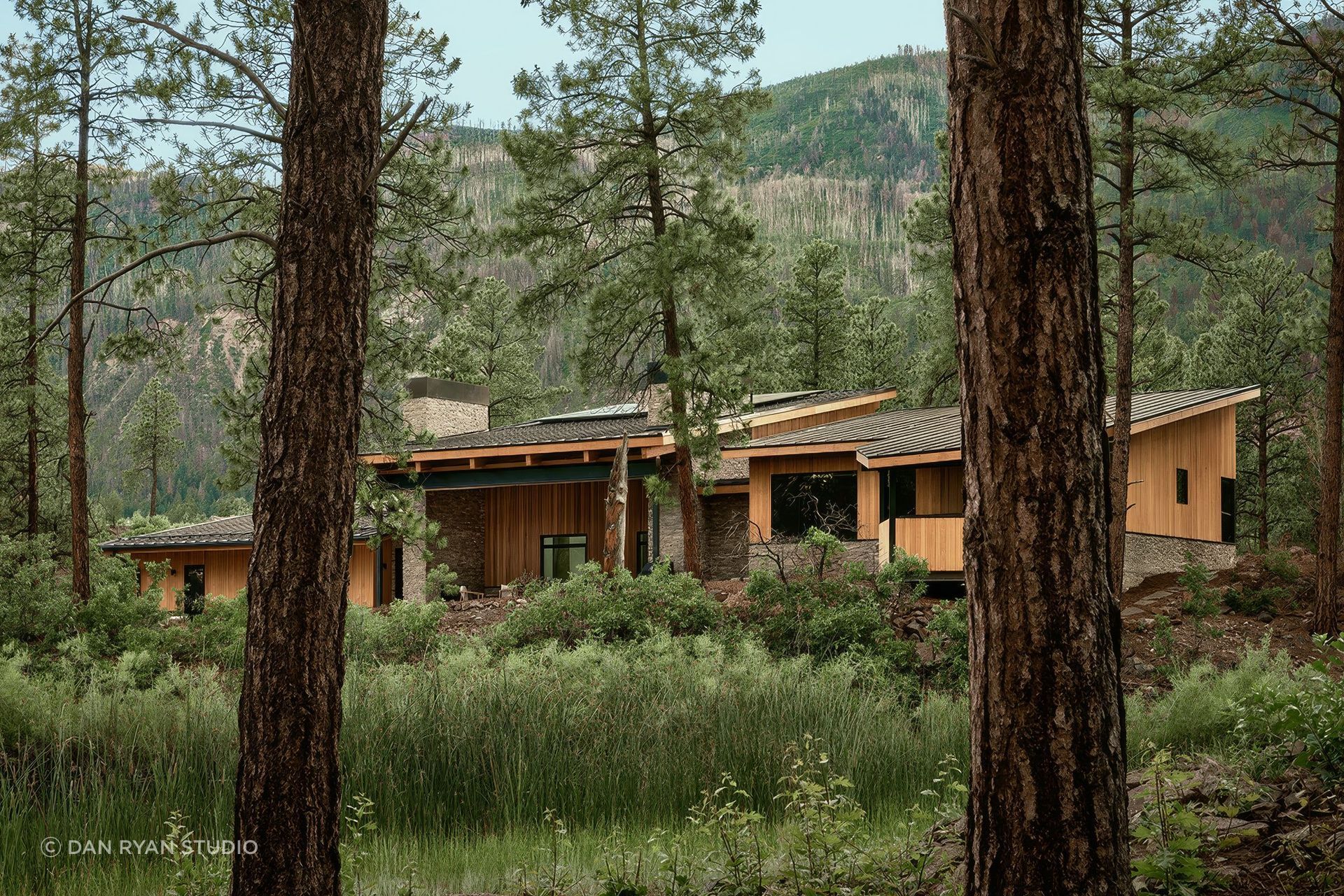 Lean-Three by The Ranch Mine sits low among the trees, showing how early site thinking can help a home feel embedded in its landscape rather than simply placed within it.