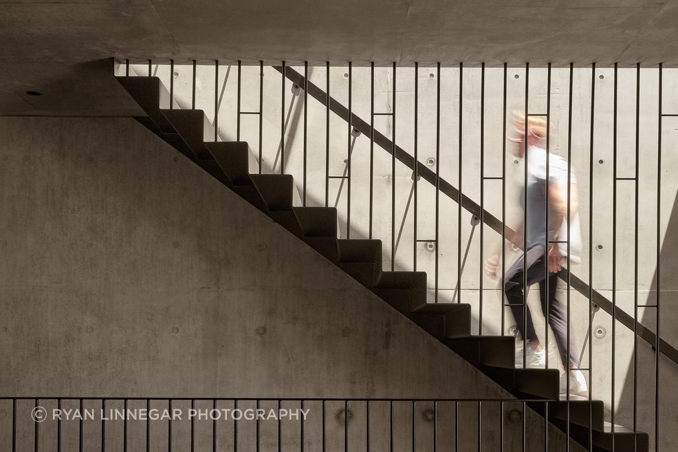 The central stair becomes a key vertical element, linking levels while bringing light and movement through the home.