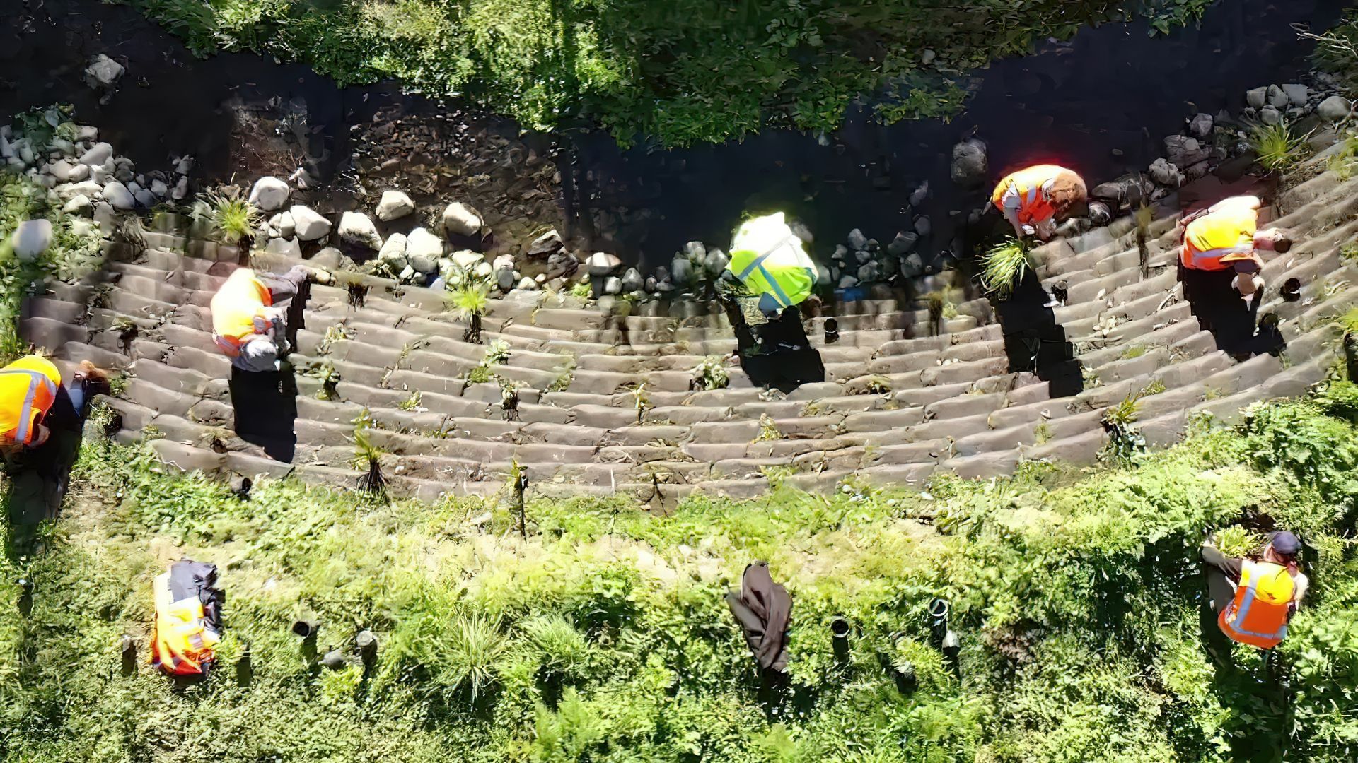 Beard Stream Volunteer planting on FlexMSE Retaining Wall video