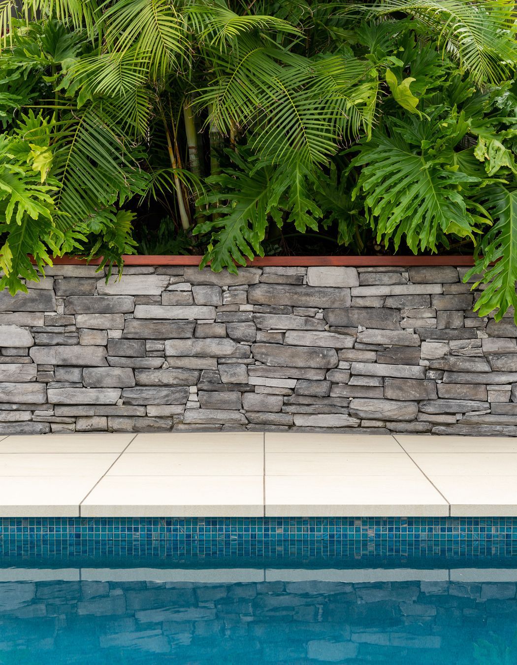 The newly renovated pool area by Auckland Inground Pools complements the existing garden area well.