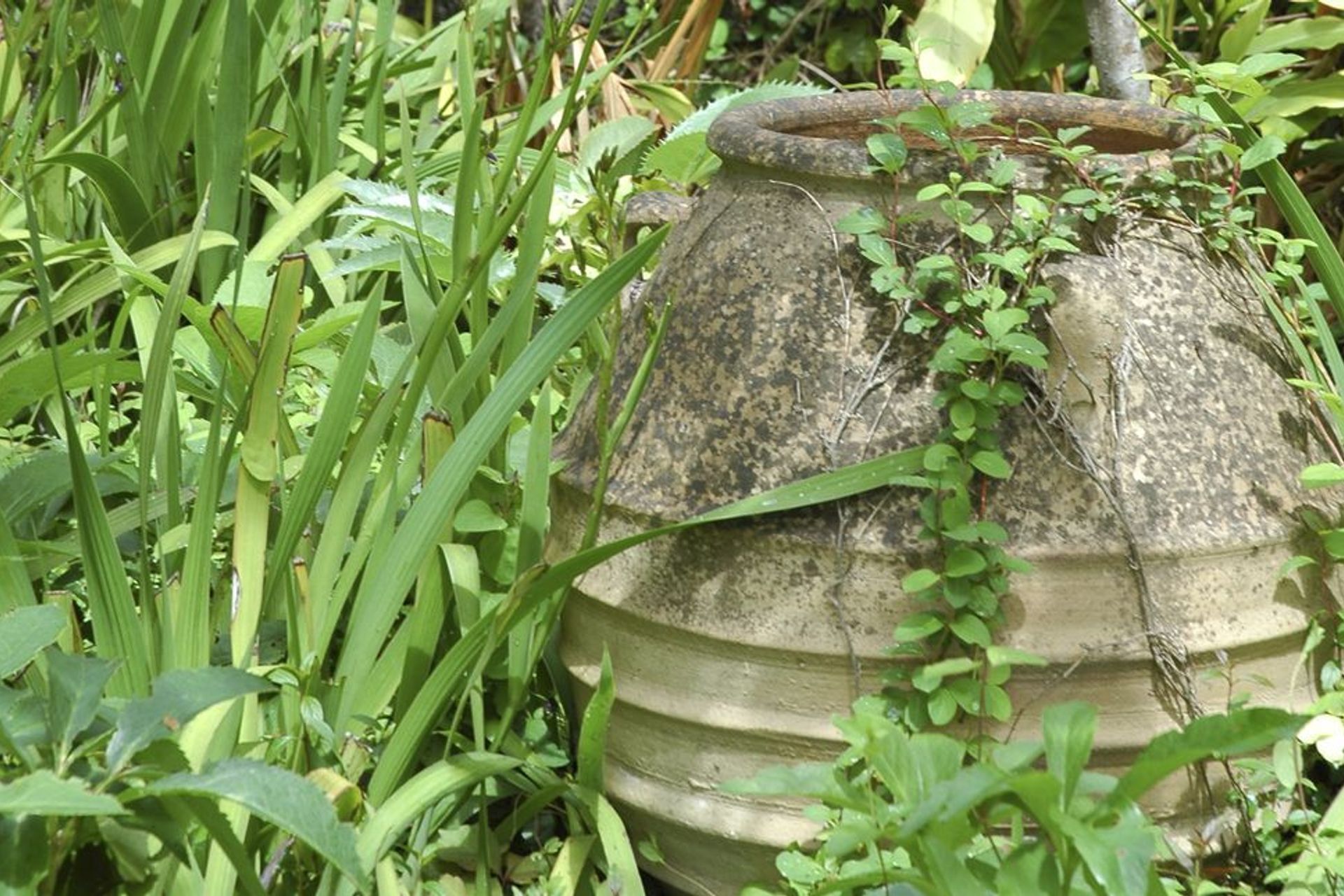 Earthy tones are currently trending, with many homeowners looking to reconnect with nature.