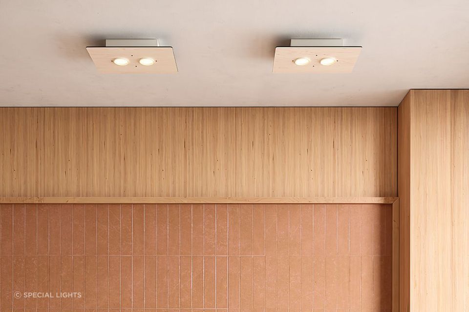 Equal Twin Ceiling Light
by Special Lights