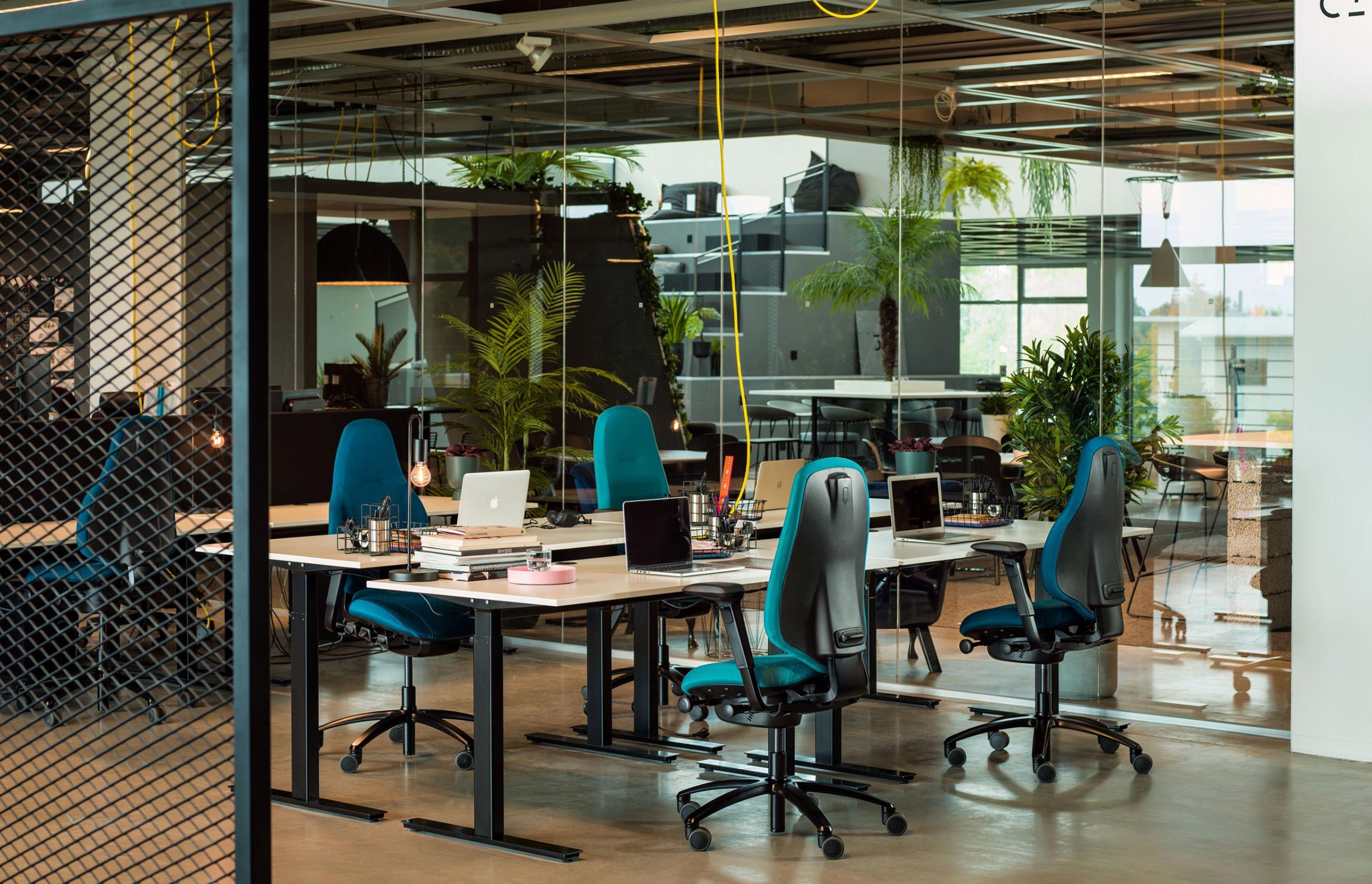 A colourful and vibrant open-plan workspace, with plants, pillars and RH Mereo chairs