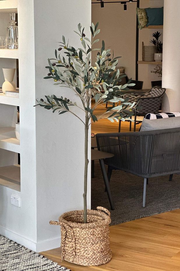 Liven up your spaces with the Potted Trim Olive Tree 153cm by Olan Living