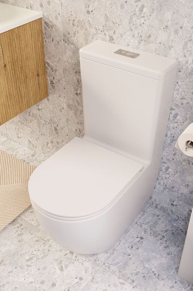 Joli Tornado Flush Back-to-Wall Toilet with Slim Seat by Fienza