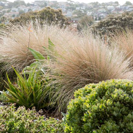 Inspiring front garden ideas for your home from across Australia