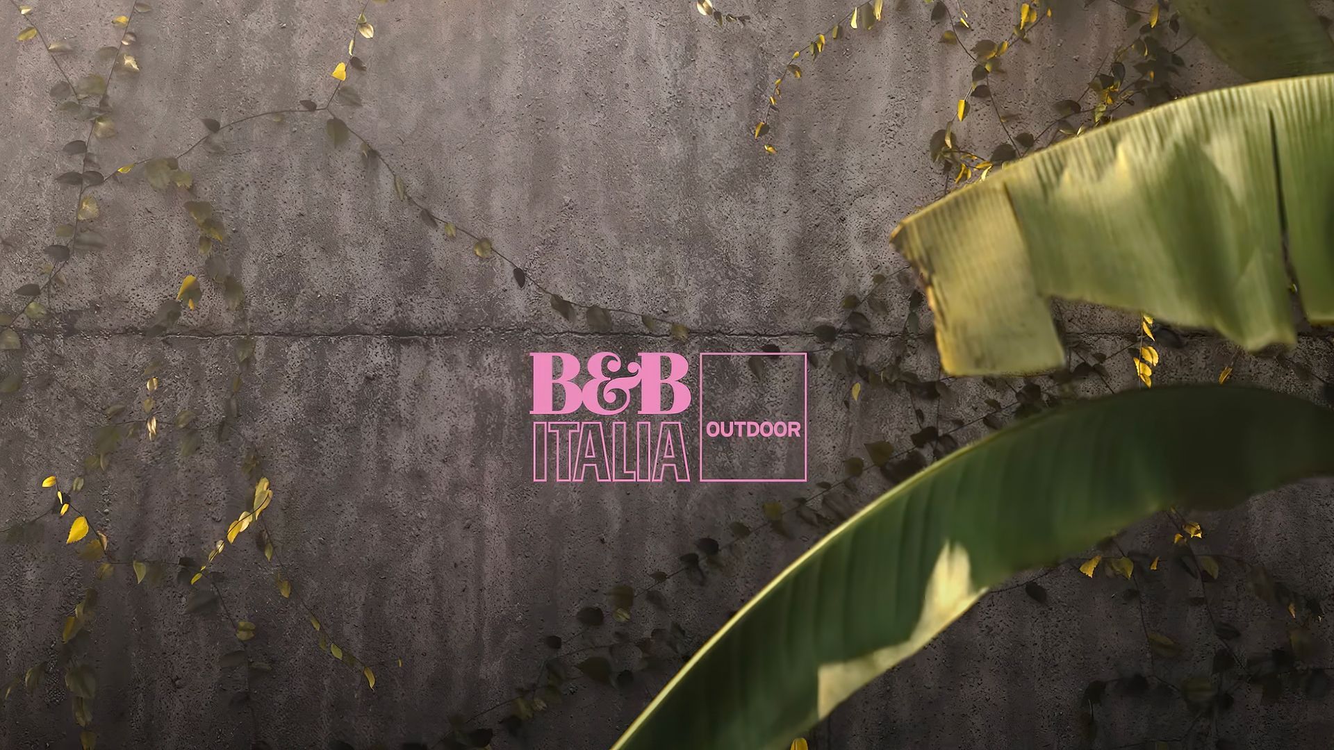  B&B Italia Erica video