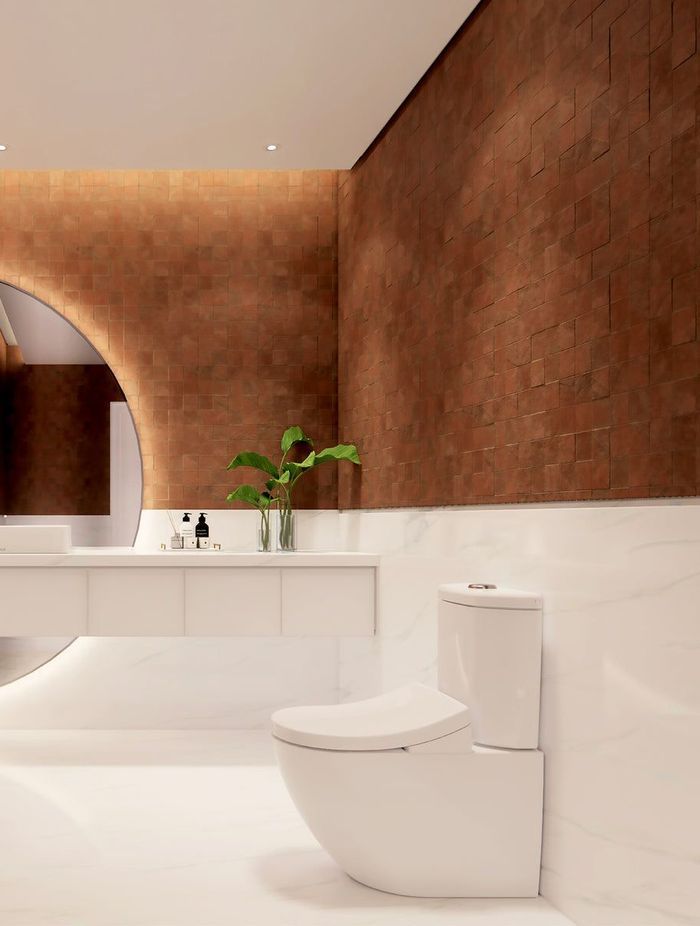 Toto Toilet + Washlet / Remote Control / Autolid | 416 by Austpek