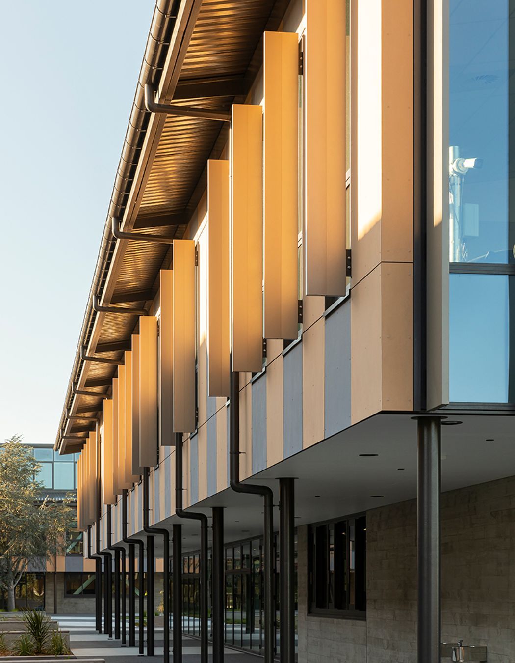“A well-designed, ventilated façade contributes to the overall energy consumption of the building, as moisture control and energy transfer can be improved with a well-designed facade." Picture: Te Aratai, Lincoln College.