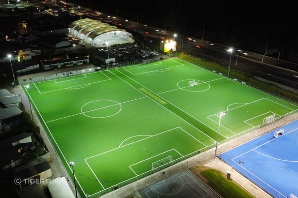 TigerTurf-NZ-WGHS.jpg