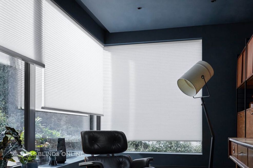 Tuiss-Blinds-Online-DuoLightMax-Cotton-White-Pleated-Blind-4417299-899x1024.jpg
