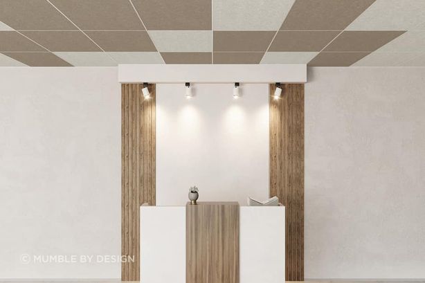 acoustic-ceiling-tiles-mumble-by-design.jpg