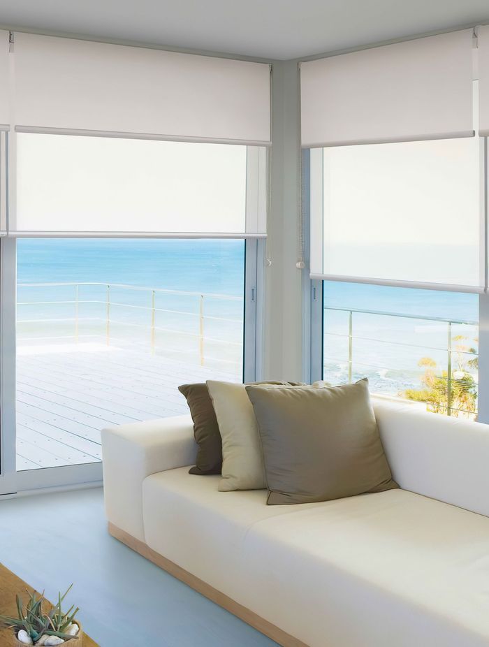 blog-NZWS-Luxaflex-Dual-Roller-Blind-Blockout-and-Sunscreen.jpeg