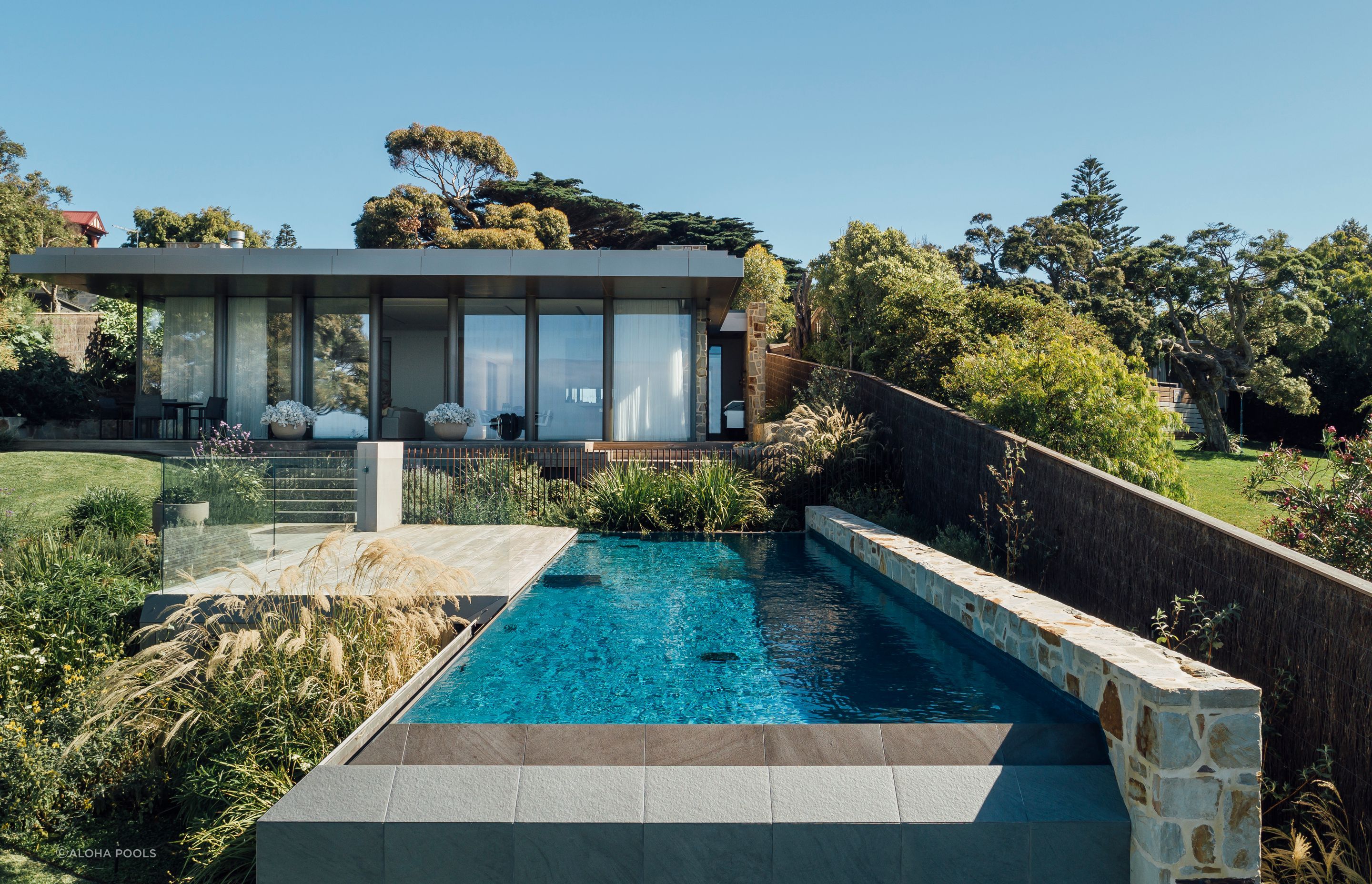 Ornamental grass on the pools left hand side provides a nice contrast with the stone boundary wall on the right. adding this pools visual appeal. Featured project: Erskine - Aloha Pools