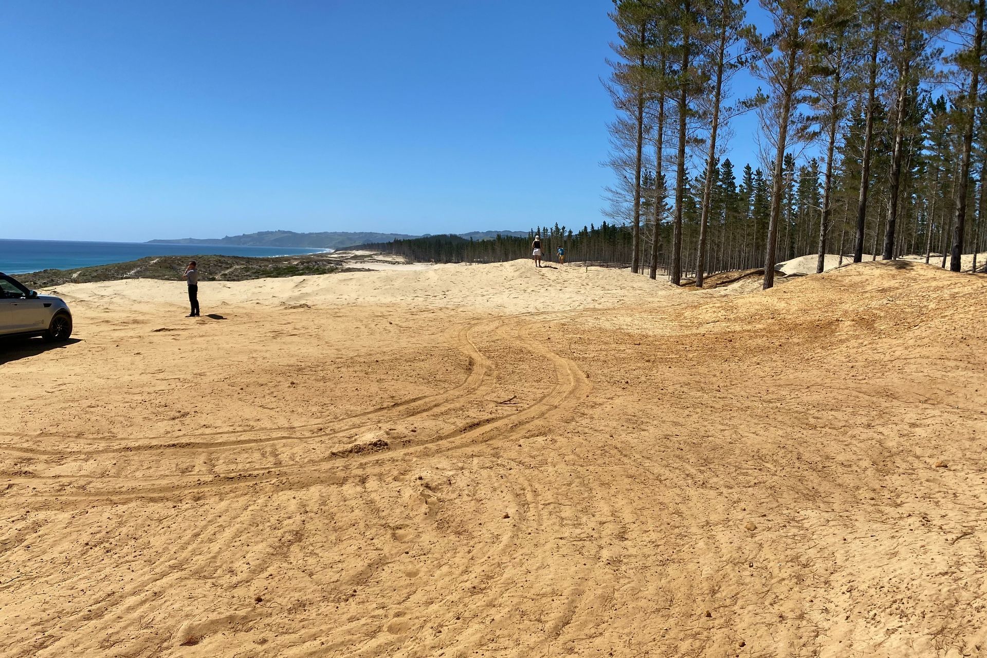 Site analysis starts with site visits like this one for a project in Te Arai.