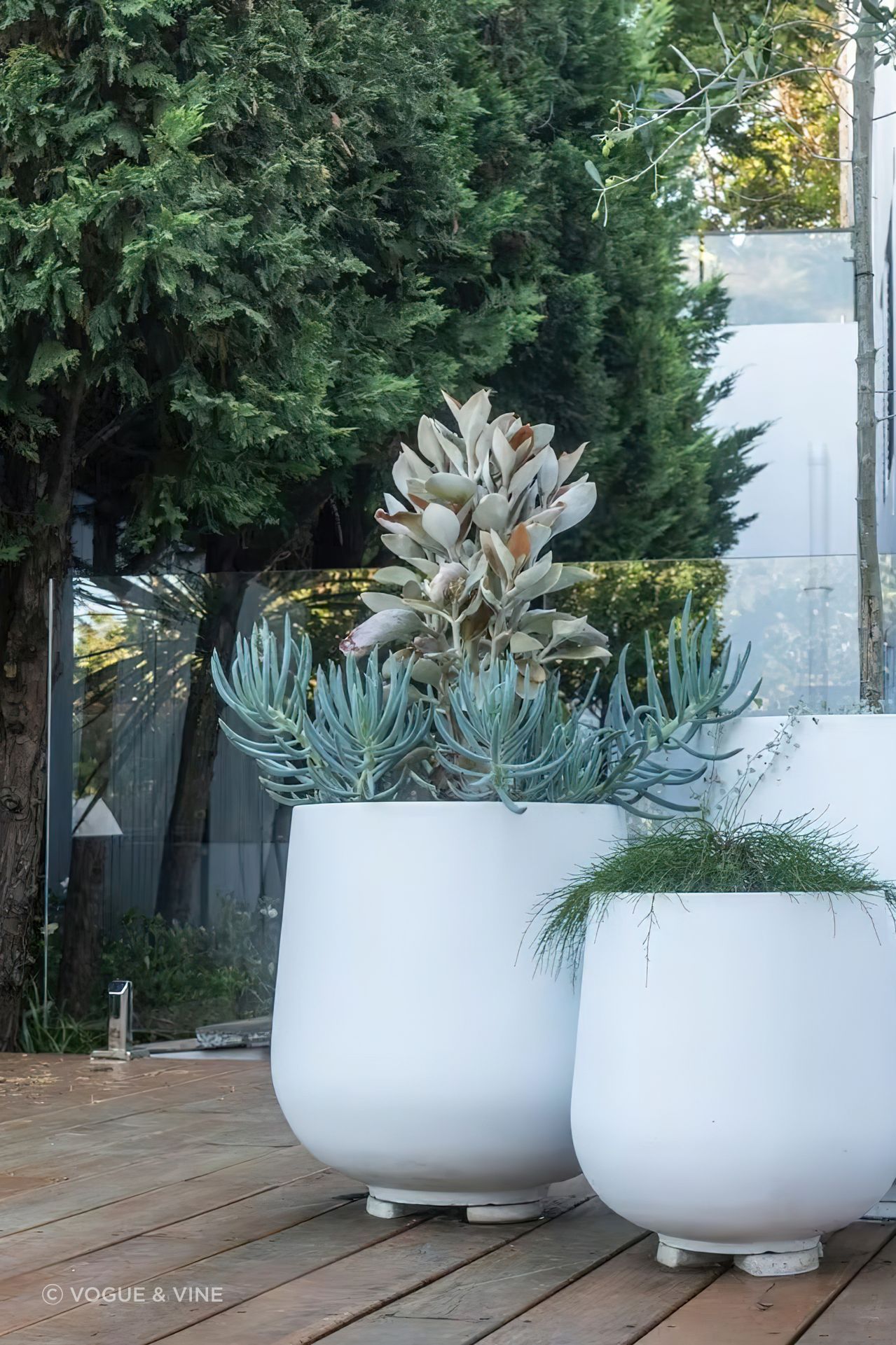 imgi18landscape-design-Bronte-Sydney-NSW-scaled.jpeg