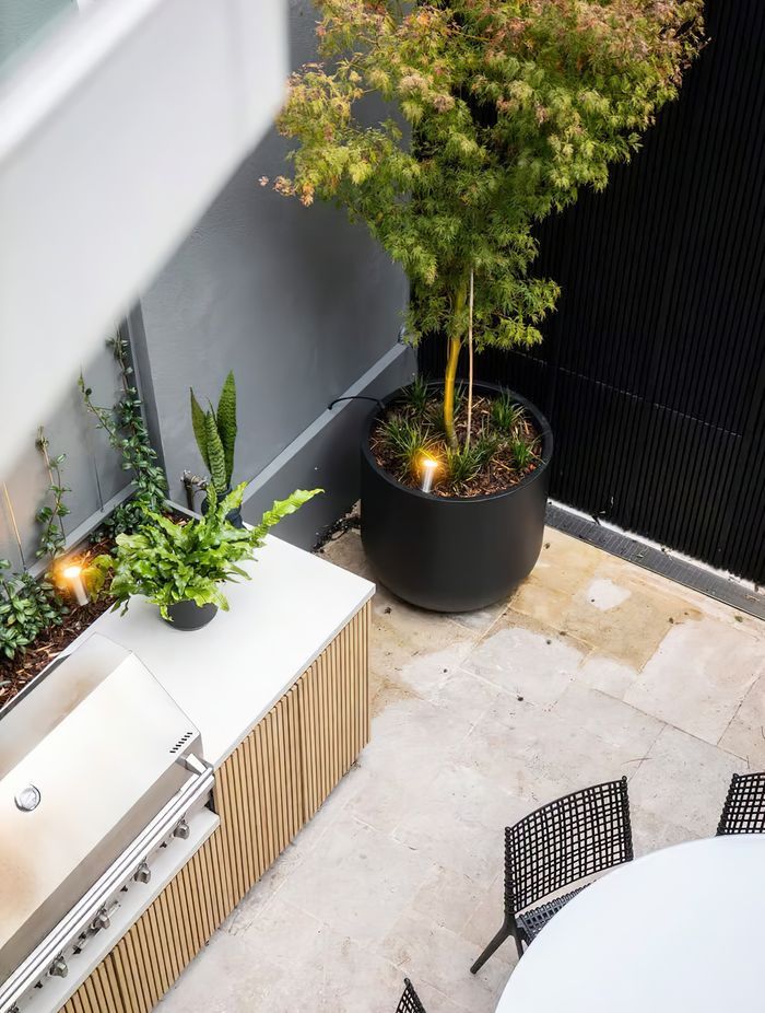 imgi27Landscape-Design-Darlinghurst-Sydney-scaled.jpeg
