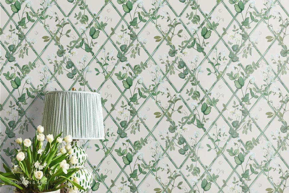 Green against a white backdrop brings freshness to a living room.