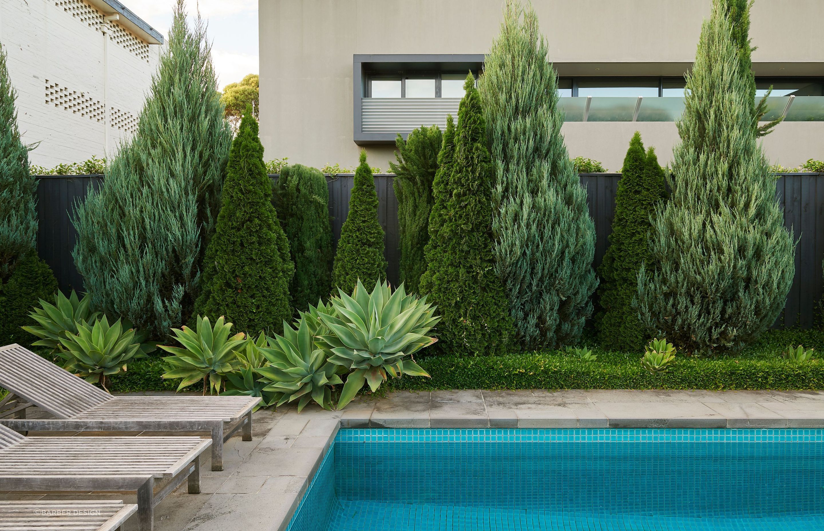 This pool's landscaping features an eclectic mix of agave plants, shrubby and columnar evergreens. Featured project: Toorak - Barber Design