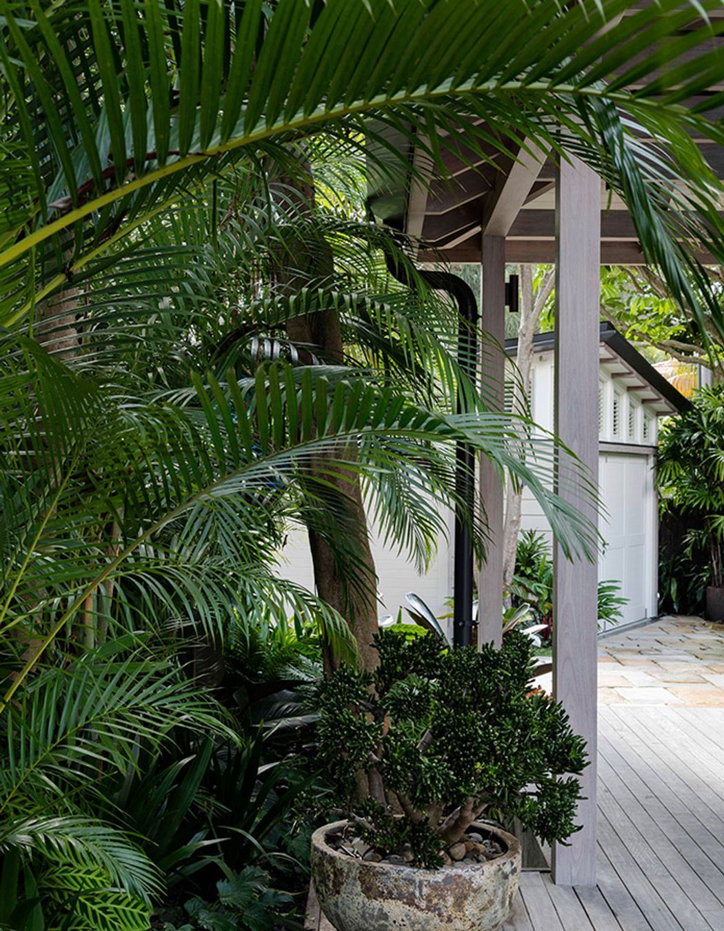 Plant pots of all sizes and textures can be used in a front garden