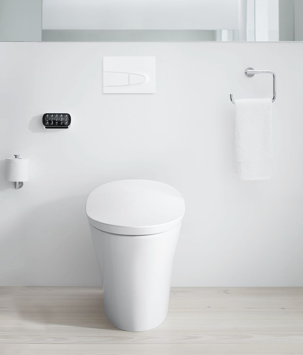 The pros and cons of different types of toilets