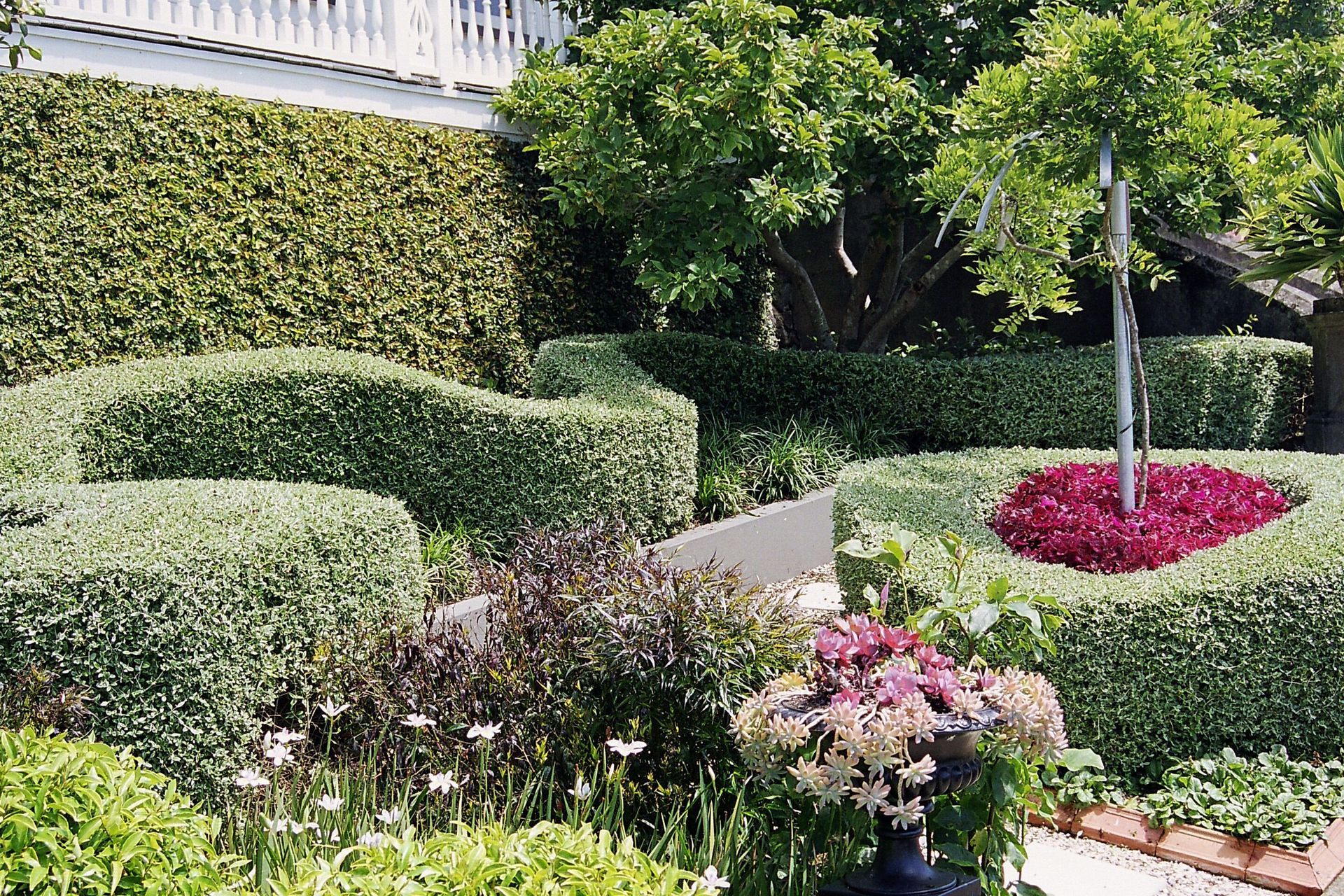Hedges create visual interest in this modern structured garden.