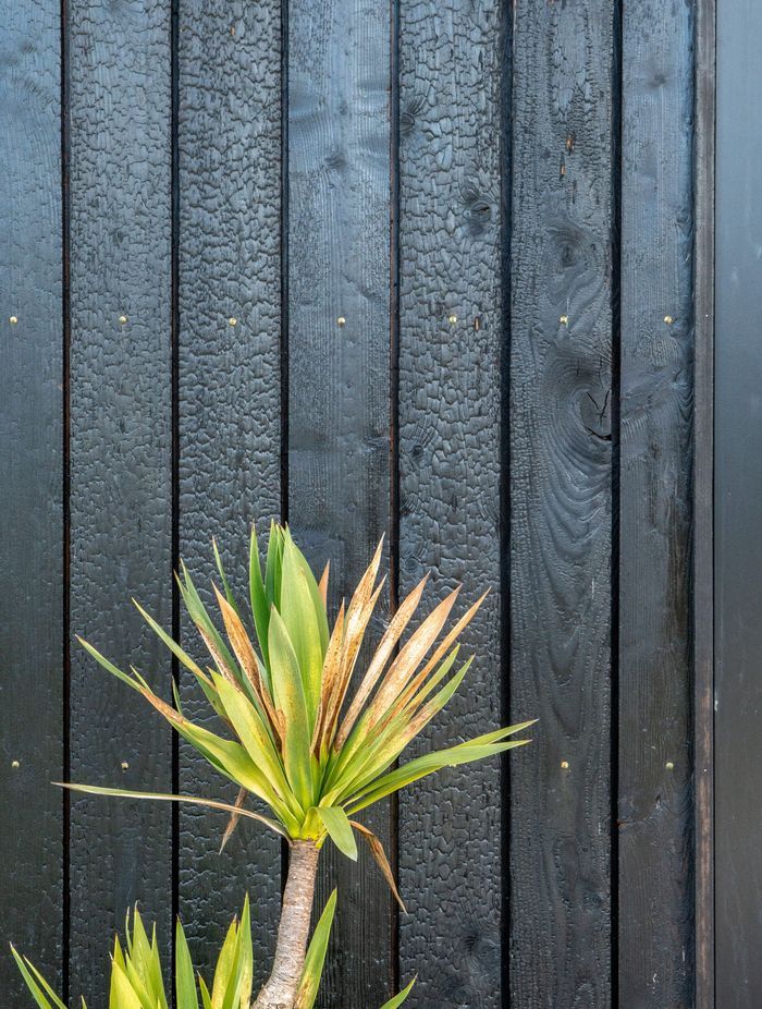 The unique look offered by shou sugi ban is becoming increasingly sought-after in New Zealand.