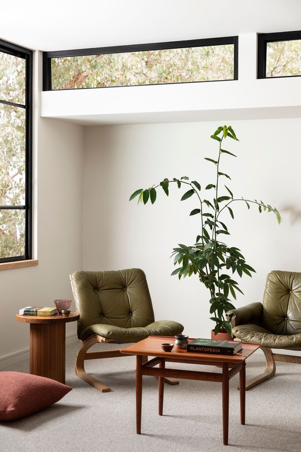 Haymes Paint Colour Library Vol.16: Energy Shifts 'Carefully Nurtured' palette