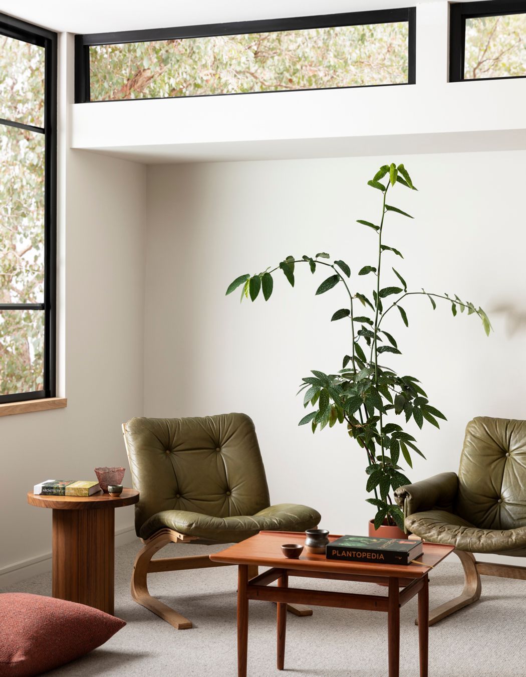 Haymes Paint Colour Library Vol.16: Energy Shifts 'Carefully Nurtured' palette