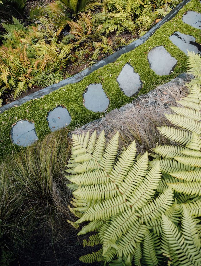 The flat pavers bordered by selleria ground cover add a whimsical element to the garden.
