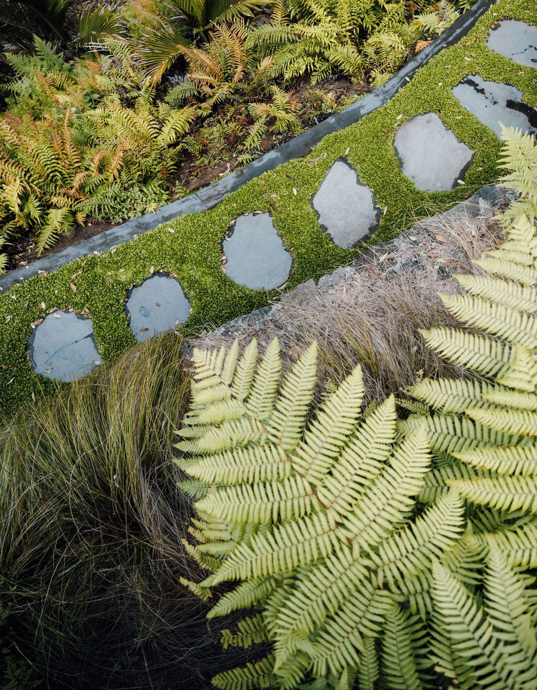 The flat pavers bordered by selleria ground cover add a whimsical element to the garden.