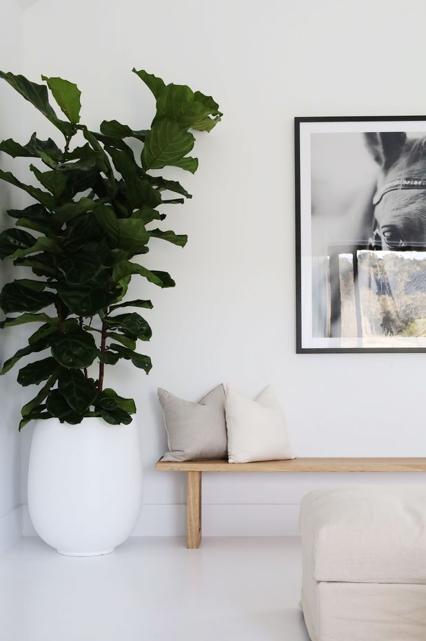 Photography courtesy of BOWERBIRD Interiors