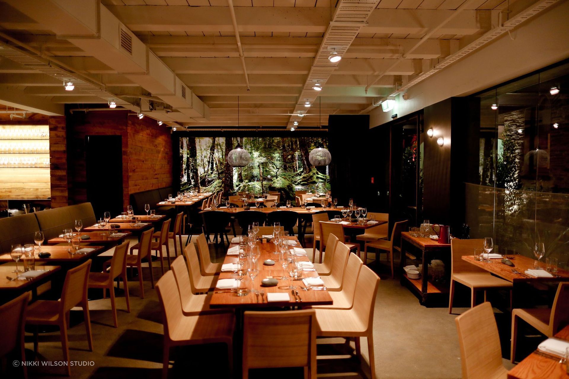 Rata-NikkiWilson-0861597001519162474.jpg