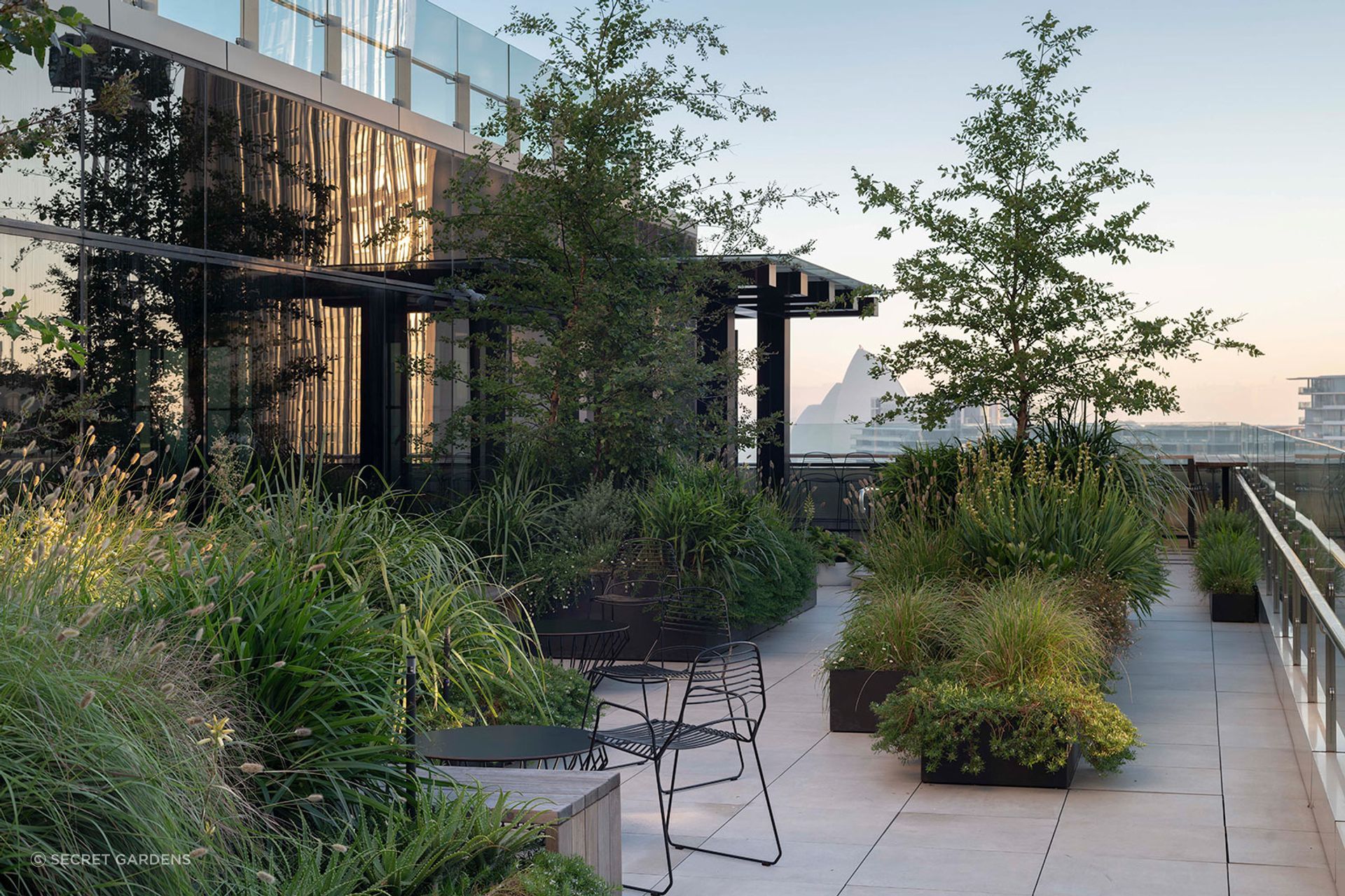 At Skyline, more than 90 custom steel planters create places for retreat and informal gathering, while abundant, wind-responsive planting makes the Circular Quay terraces feel far removed from the city below.
