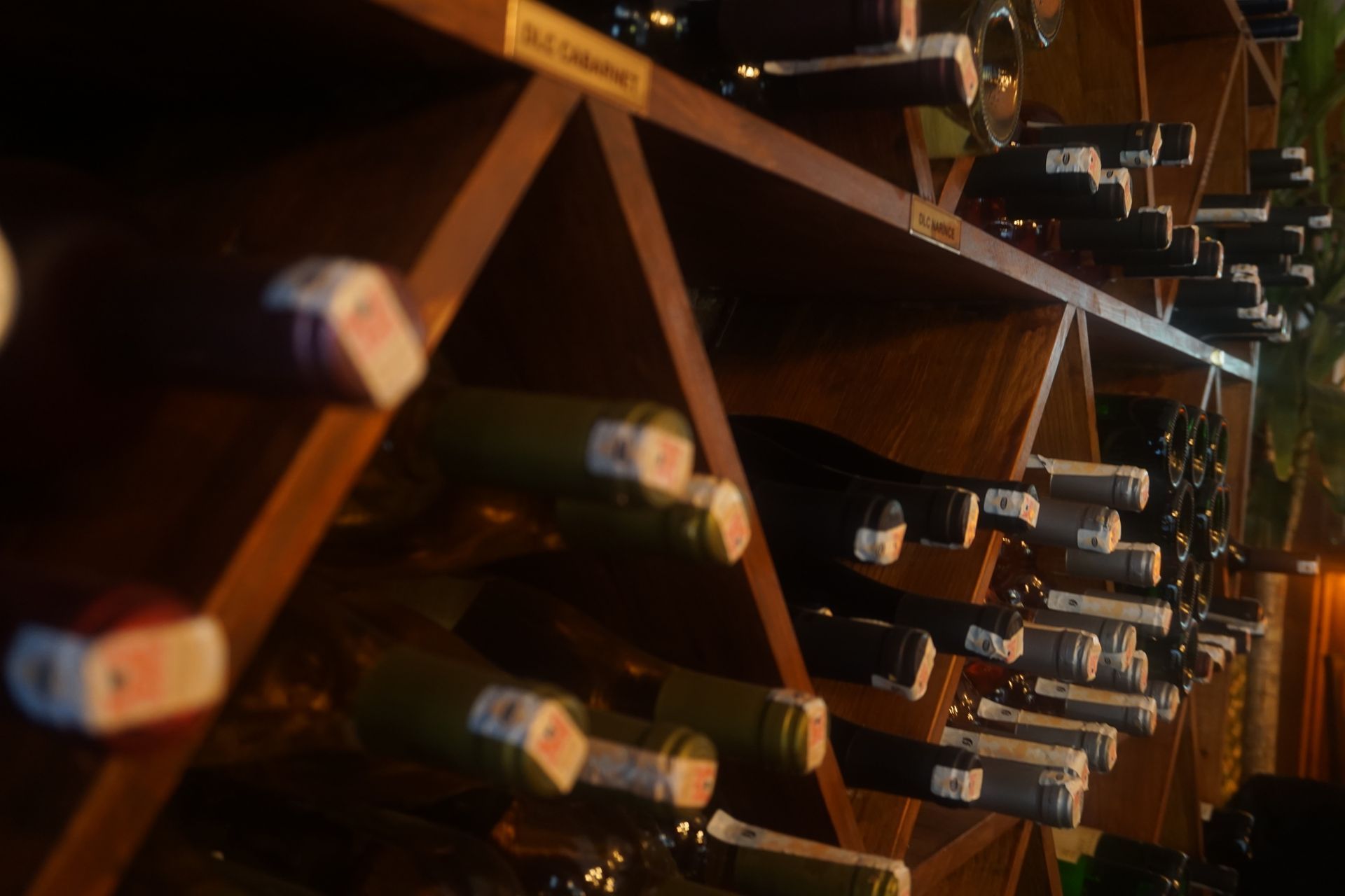 The comprehensive guide to home wine cellars