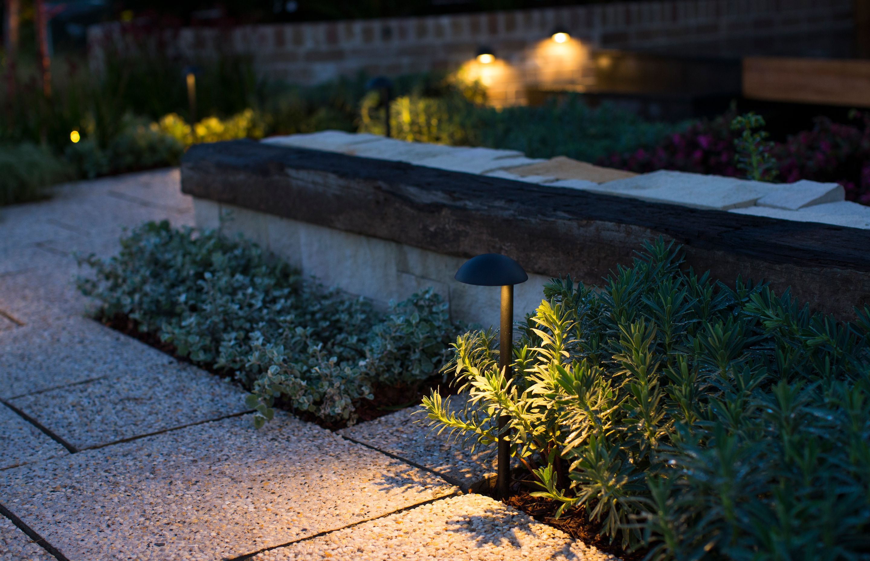 Gardens at Night's products suit the trends in the New Zealand market.