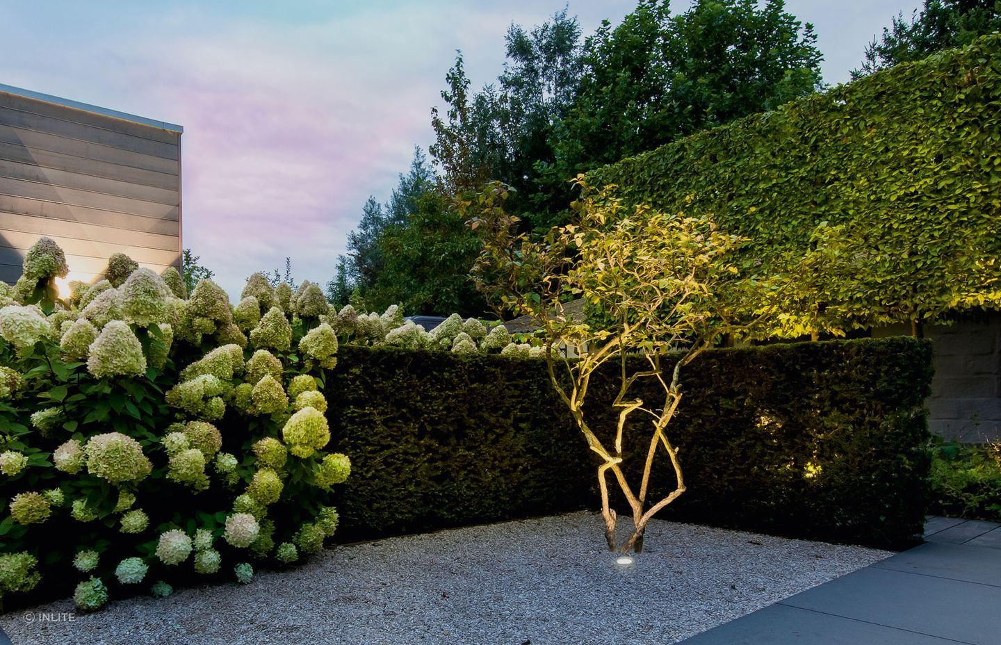 Make the trees in your backyard stand out with uplighting.