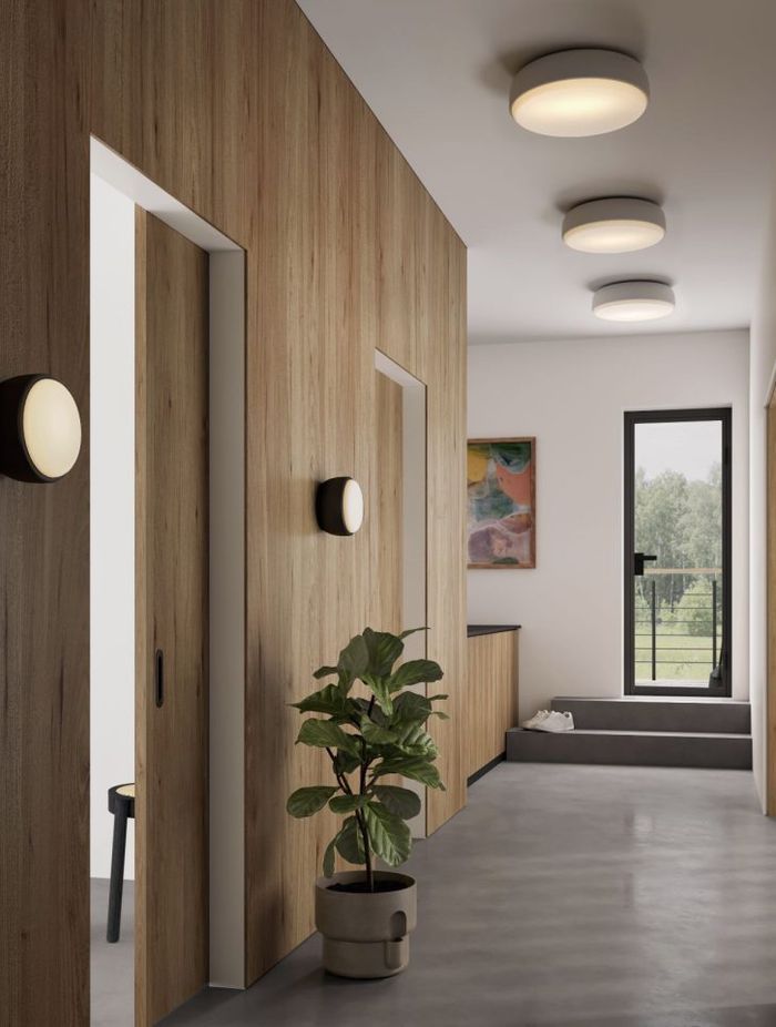 Over Me Wall Ceiling Light from LightCo