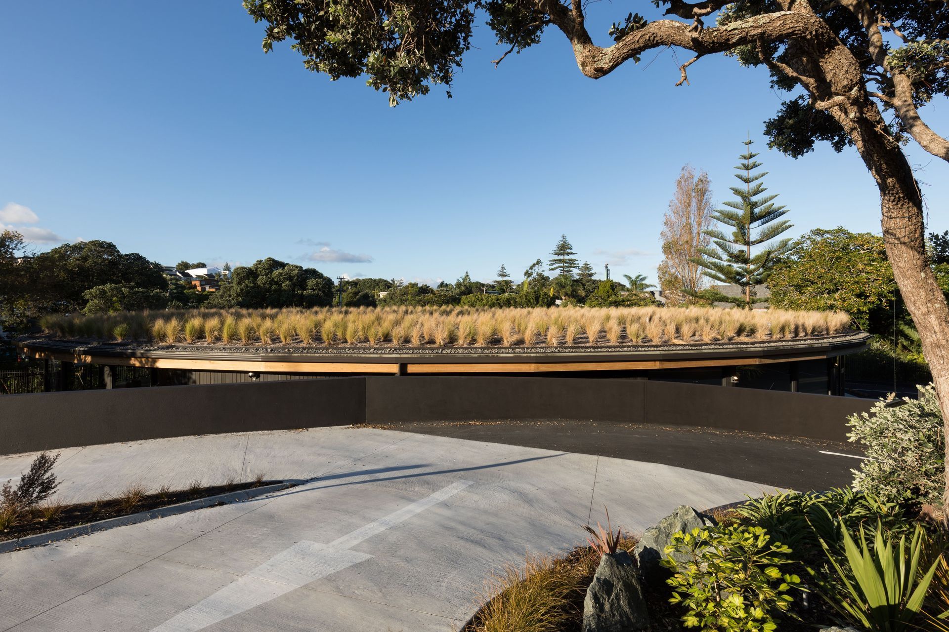 The view upon arrival, overlooking the green roof. | Photographer: Mark Scowen