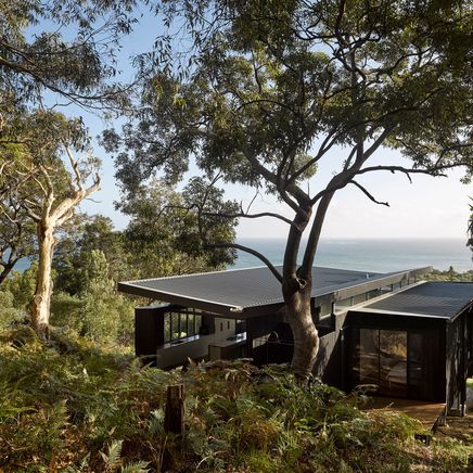 A modern island ‘beach shack’ where the bush meets the sea