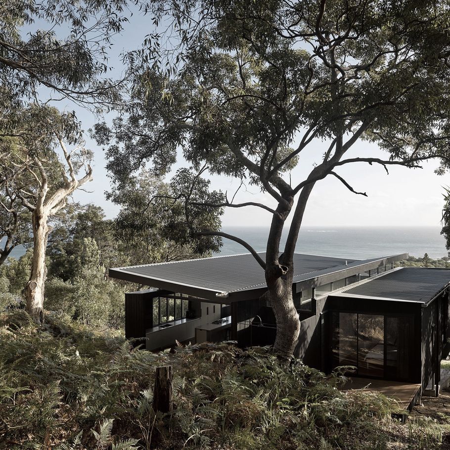 A modern island ‘beach shack’ where the bush meets the sea