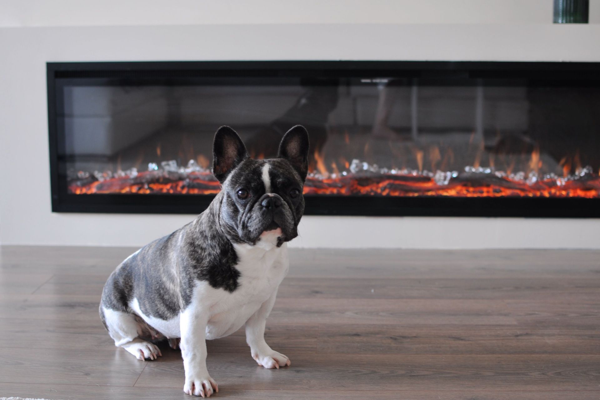 Designing a fireplace using Studco steel studs