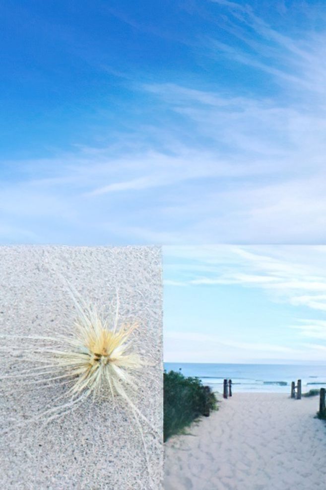 Inspirations for coastal living.