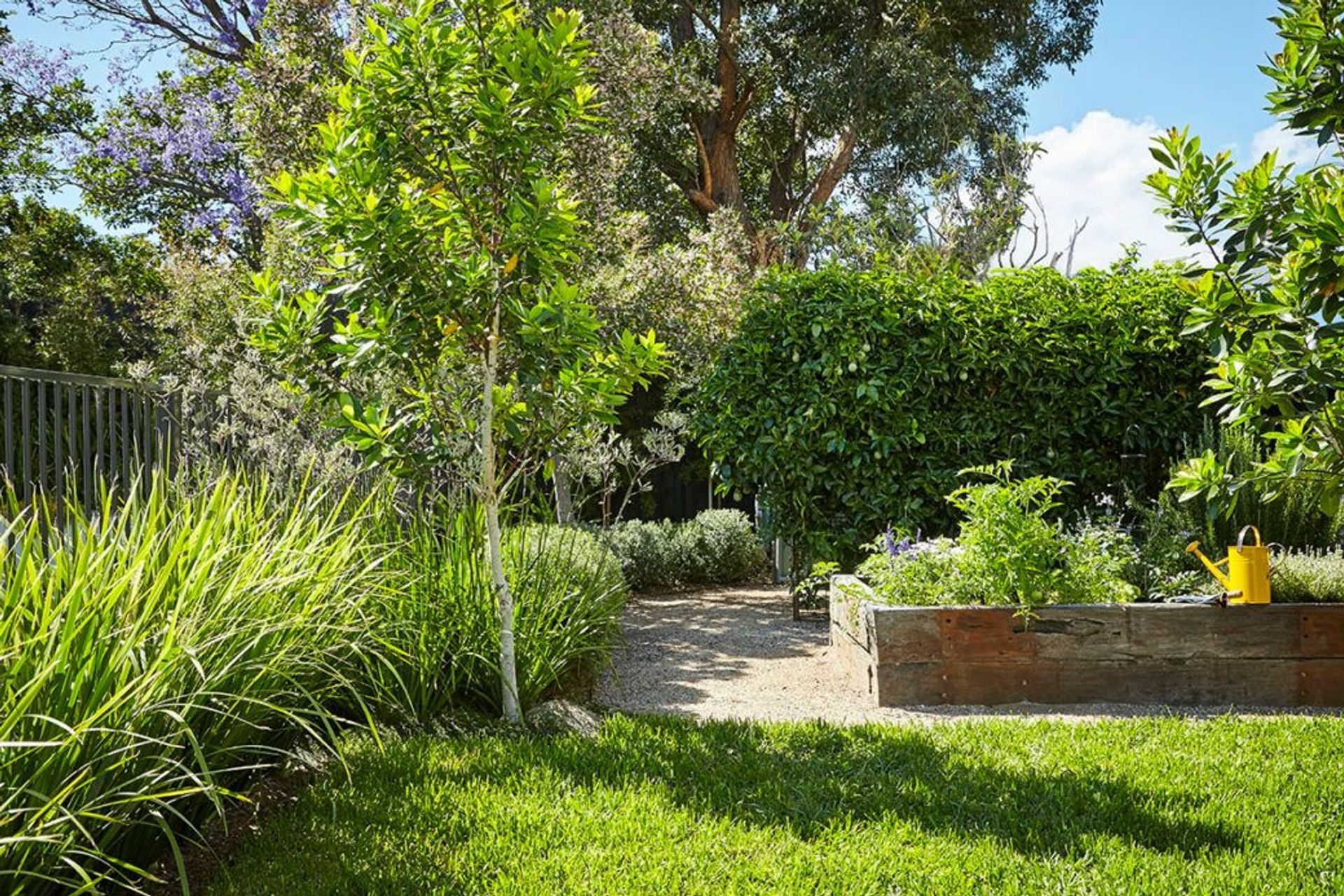 Herb and salad plants in a raised garden bed made of railway sleepers – the Marrickville garden – Pepo Botanic Design.