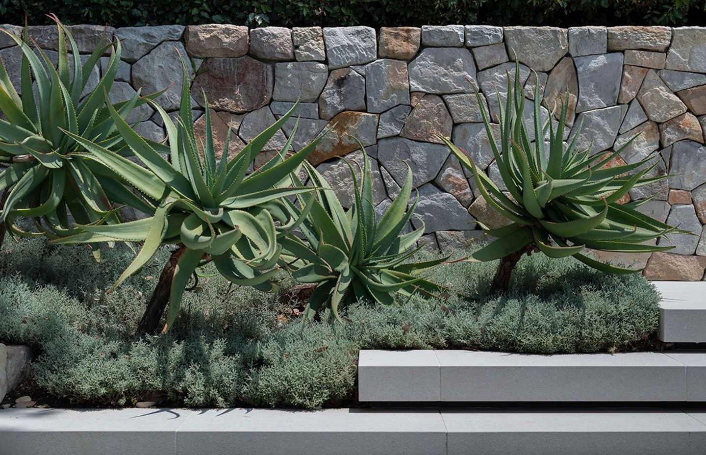 Tackling Climate Change in your own Backyard