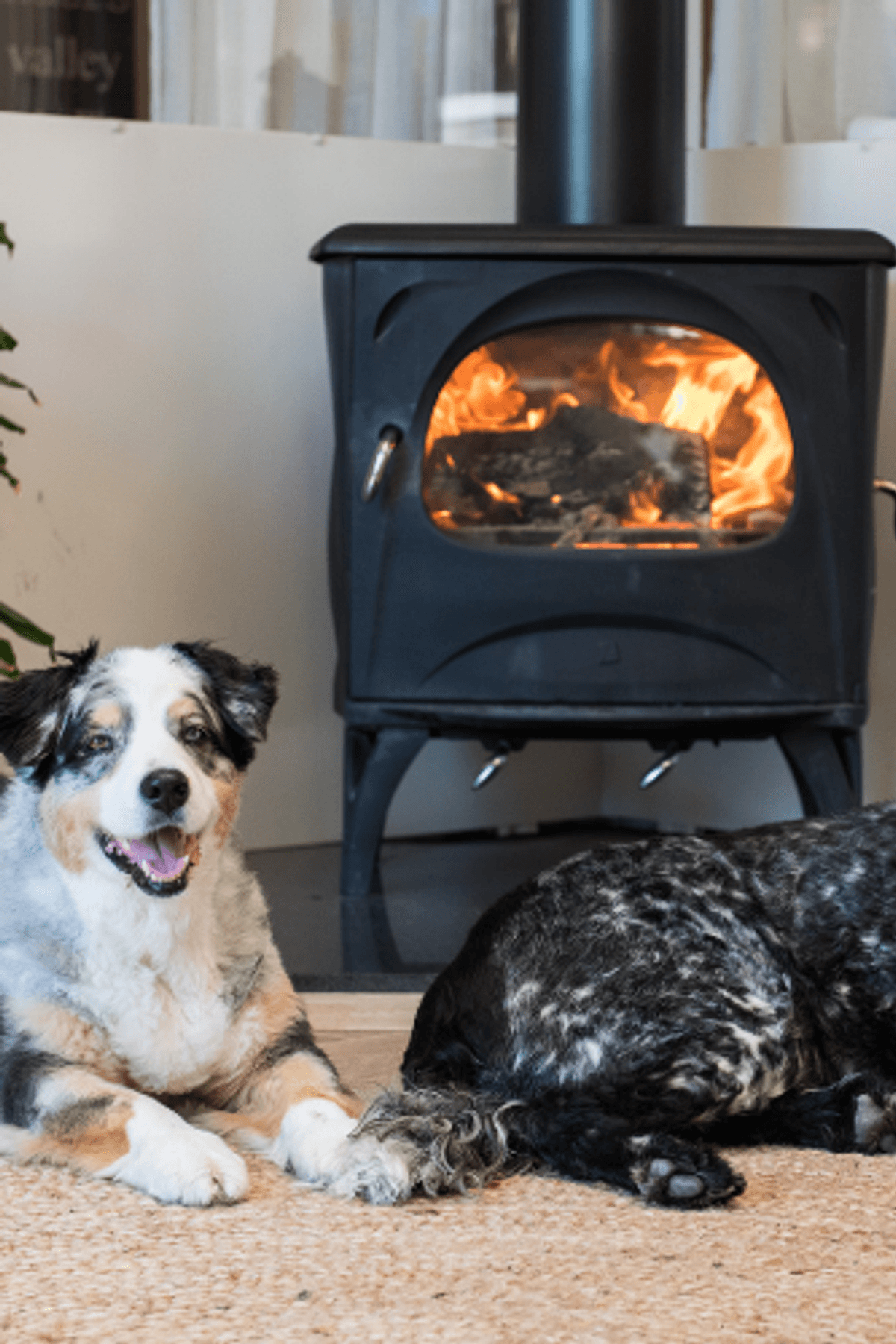 Seguin Wood Fireplaces: A French Flame